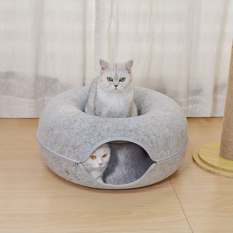 Two silver-shaded cats and cat caves