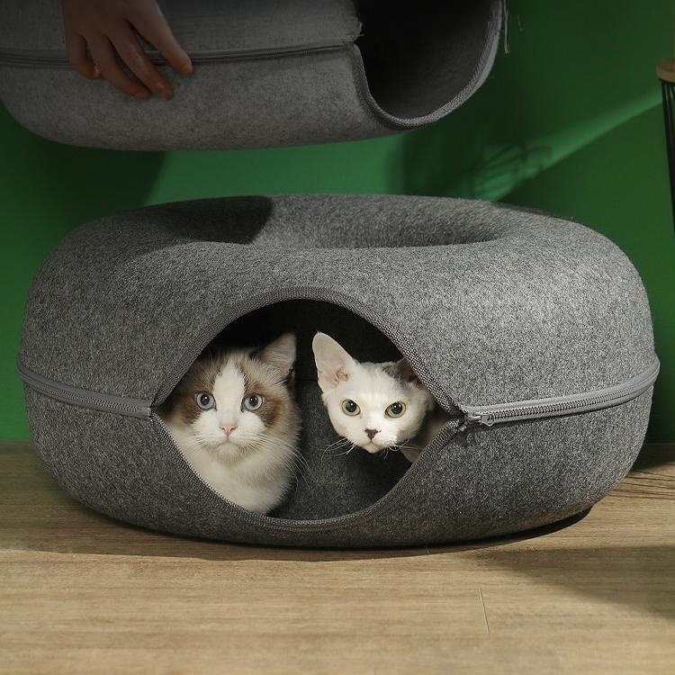 cats hide in a cat cave