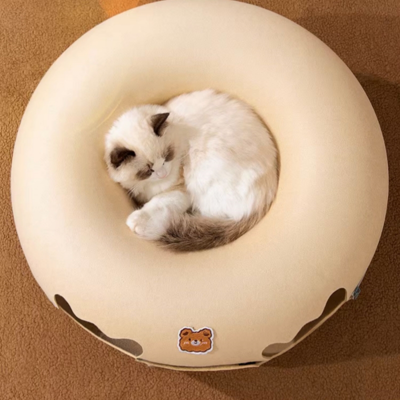 cat napping on top of the cat cave