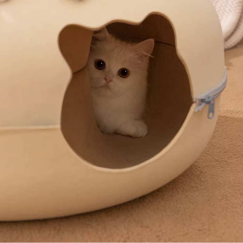 a cat hide in a cat cave