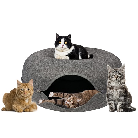 4 cats and cat cave