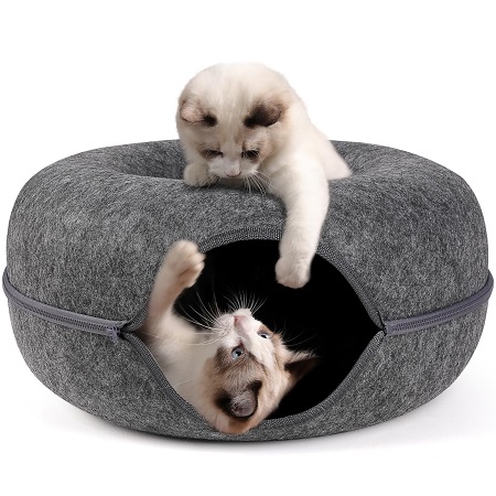 2 cats playing in cat tube